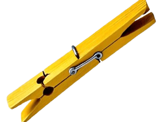 bamboo clip